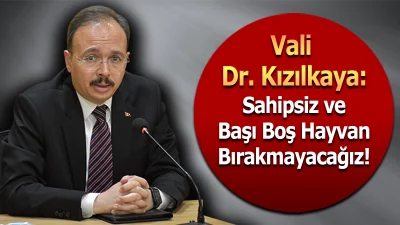 Siirt’te başıboş dolaşan havanların önlenmesinde önemli bir adım.Vali ve Belediye