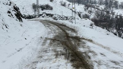 Siirt’in Şirvan ilçesine bağlı Elmadalı köyünde, dün geceden bu yana